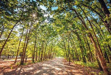Thousand Trails Lake Tawakoni