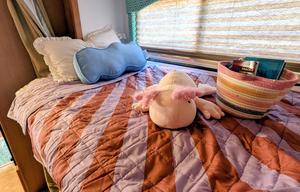 2011 Four Winds RV Chateau 31B RV rental photo 14