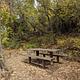 Picnic Area