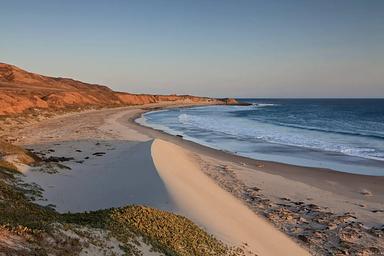 Sandy beach with ocean and small waves and steep coastal bluffs covered in dry grass. 