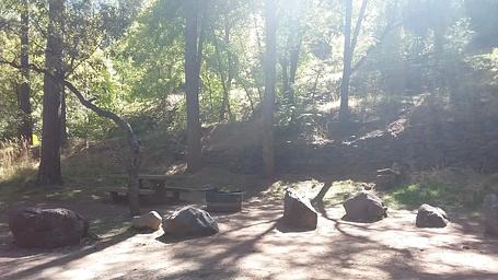 Manzanita Campground sun beams piercing trees.