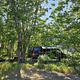 Shady campsite at Beavertail Campground.
