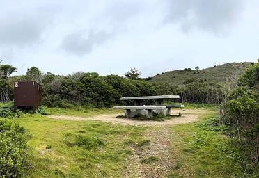 Coast campsite 1 with bear box and picnic table.