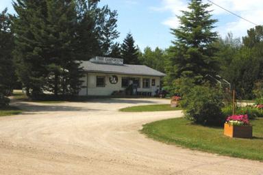 Pine Tree Campground