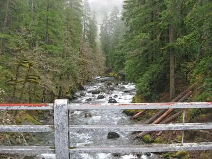Ohanapecosh Campground