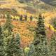 Campspot slideshow image 5
