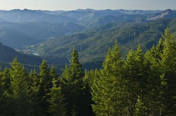 C01, Loop: AREA LAKE OF THE WOODS LOOKOUT
