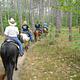 Hungerford Equestrian Trail, Manistee National Forest