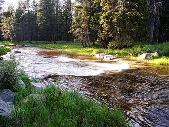 River near Dead Swede