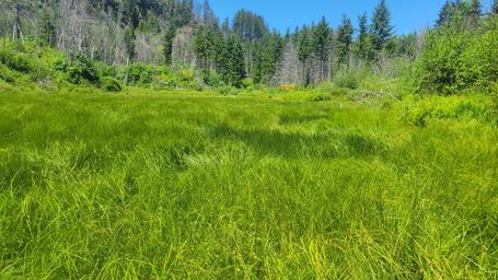 Aquila Vista Recreation Site