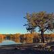 Reynolds Pond Recreation Site