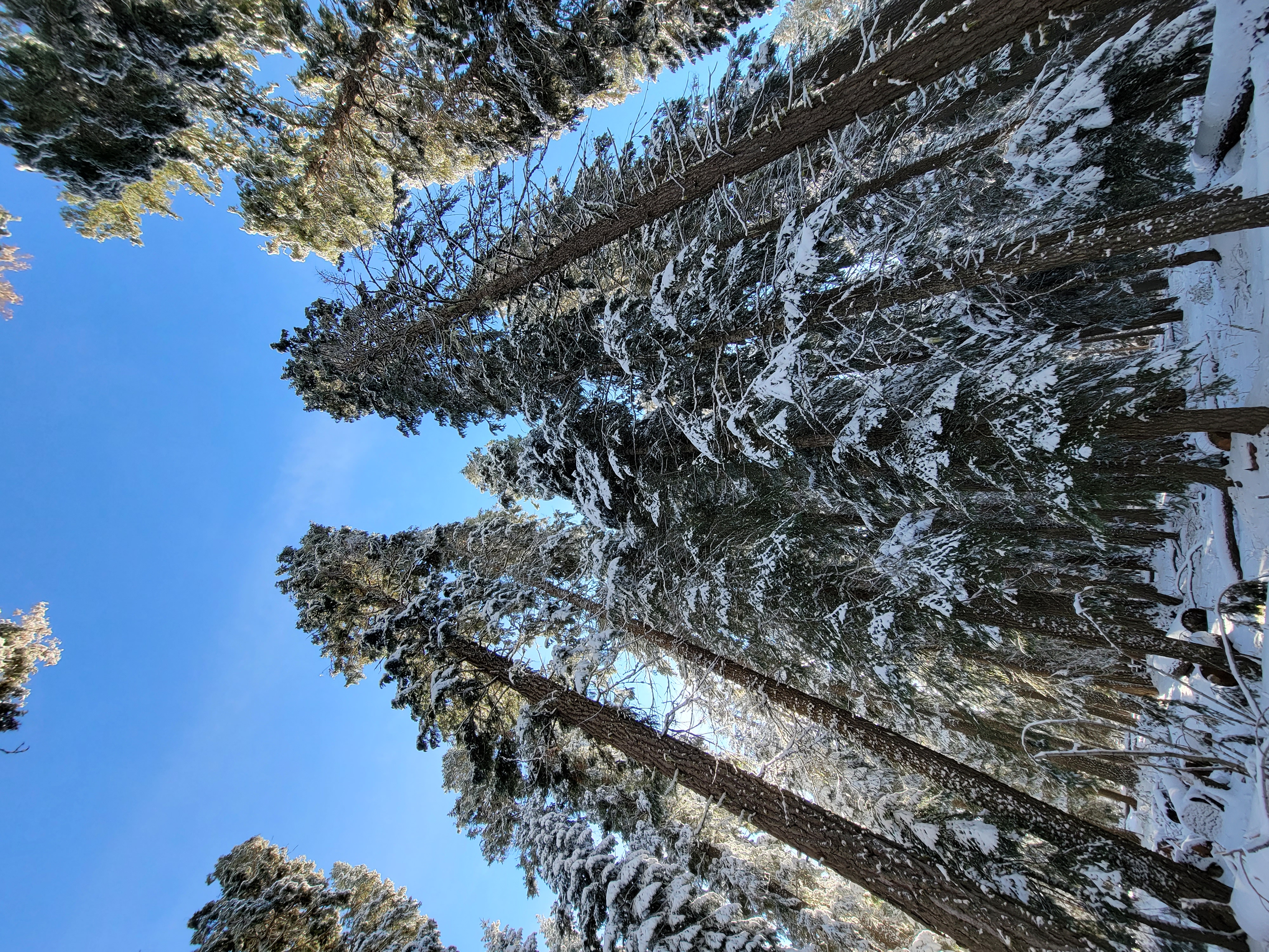 Surveyor Recreation Site