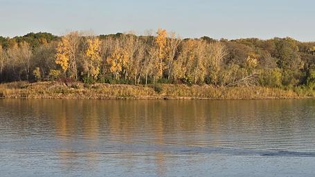 Cottonwood Campground (IA)