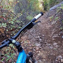 Hallelujah Trail