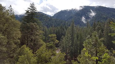 North Fork Yuba