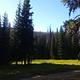 Meadow near cabin