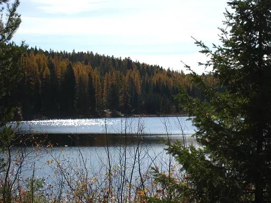 01, Loop: AREA LOST LAKE GROUP UNIT