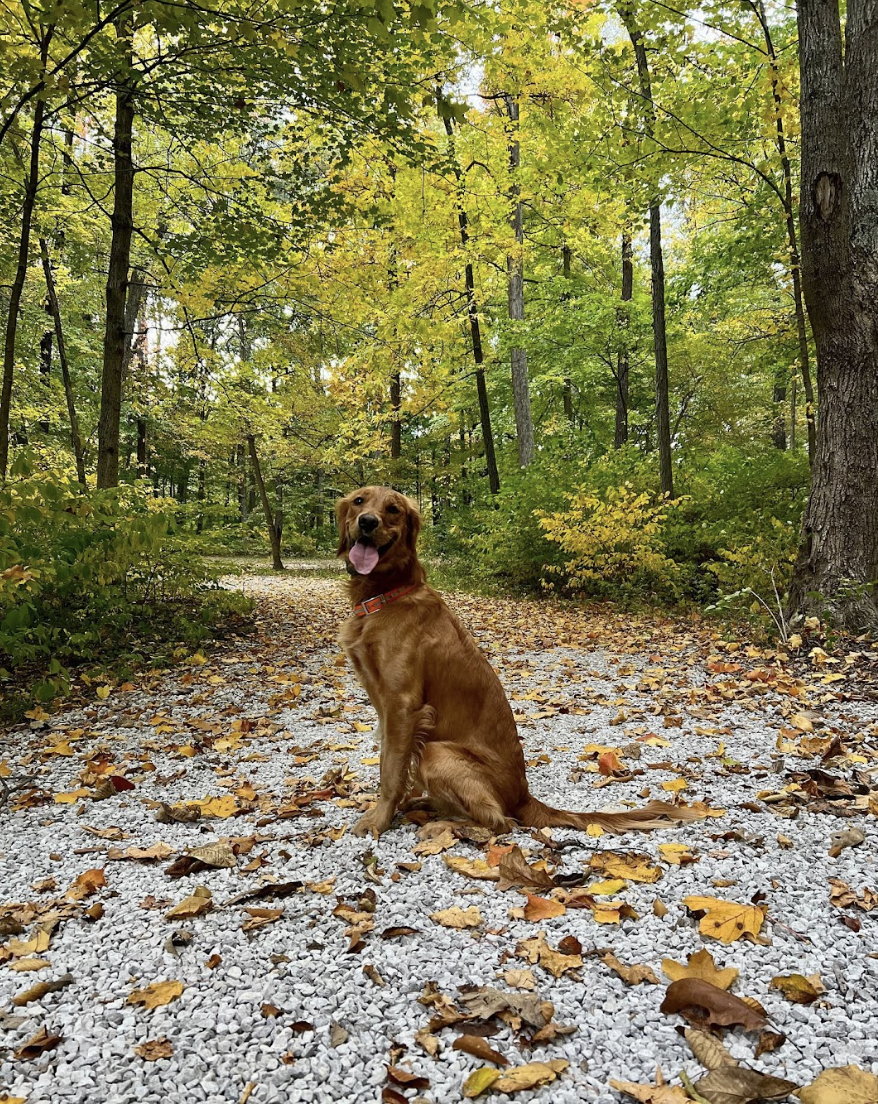 Jackson Lake Park