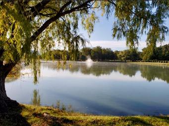 Campground image 2
