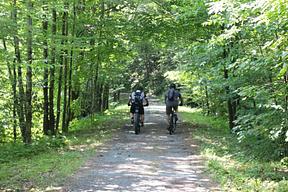 Winhall Brook Camping Area