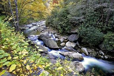 Briar Bottom Group Campground