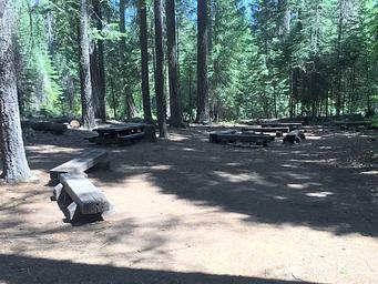 Lush forest provide shade for Middle Meadows Group Campground