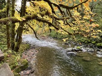 Yukwah Campground