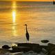 Campspot slideshow image 2