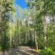 Campspot slideshow image 4