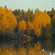 Reynolds Pond Recreation Site