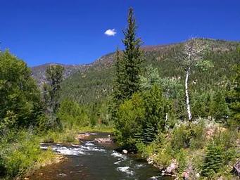 MINERS GULCH