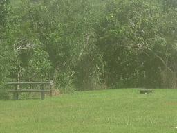 Pinecrest Group Campground