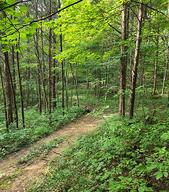 Cedar Trails Retreat