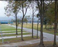 River View RV Park & Resort