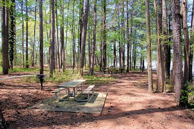 Galt's Ferry Picnic Area Near Bathroom.