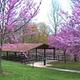 Seven Points Picnic Shelters