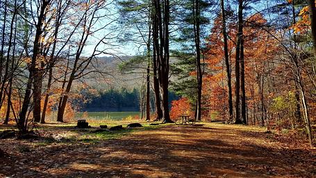 Red Bridge Campsite in the Fall