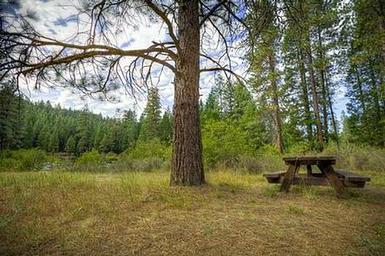 Allen Springs Campground