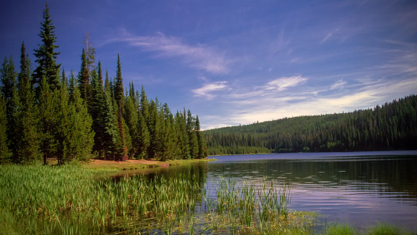 Jubilee Lake Campground (OR)