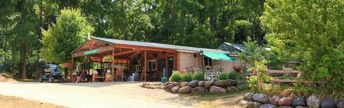 Panoramic header-style image of the pond and beachfront from a grassy slope — good scenic view of the campground’s primary attraction (used as page background/header).