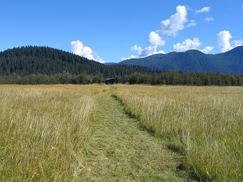 Koknuk Cabin with grassflats in front and mountains behind