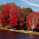 Campspot slideshow image 5