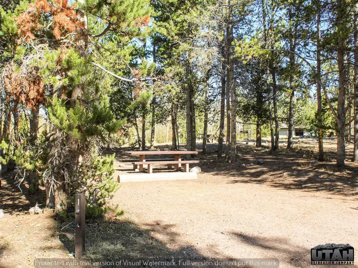Stateline Campground Long Term
