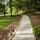 Buffalo Point Campground Trails