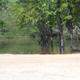 Campground image 4