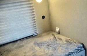 2024 Forest River RV Cherokee Grey Wolf 29TE