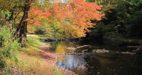 Peppertree Camping