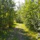 Lazy Moose RV Park