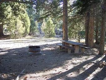 Pine Lake Campground