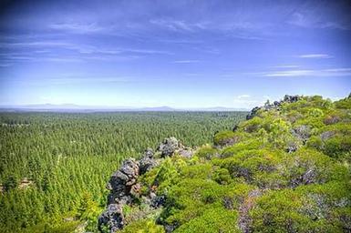 THREE CREEKS MEADOW HORSE CAMP